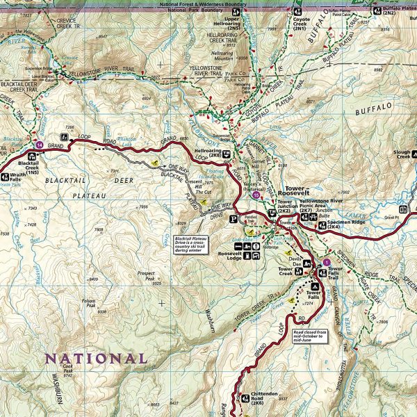 Yellowstone National Park Map (National Geographic Trails Illustrated Map, 201) - Image 2
